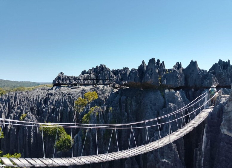 Picture 8 for Activity Morondava: 3-Day Tsingy de Bemaraha and Kirindy Forest Tour 2