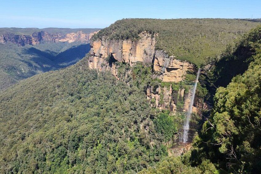 Blue Mountains Bushwalk & Wildlife Day Tour from Sydney 5