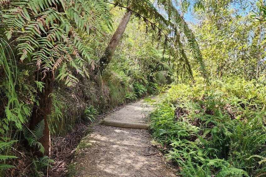 Blue Mountains Bushwalk & Wildlife Day Tour from Sydney 3