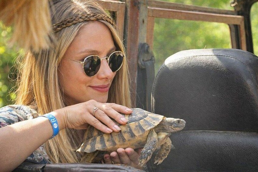 A person holding a turtle. 2
