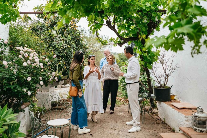 A group of people in a garden with potted plants, a metal chair, and a white wall. 3