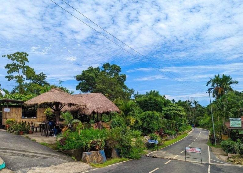 A rural road with a thatched-roof hut, lush greenery, and a clear sky. 1
