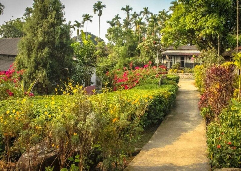 A garden pathway flanked by lush greenery and flowering plants. 5
