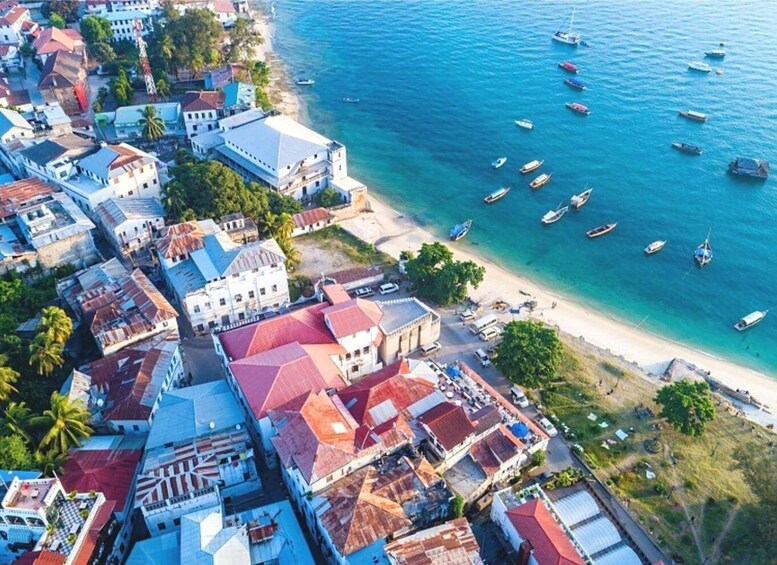 Vista aerea di una località costiera con edifici, una spiaggia e imbarcazioni. 3