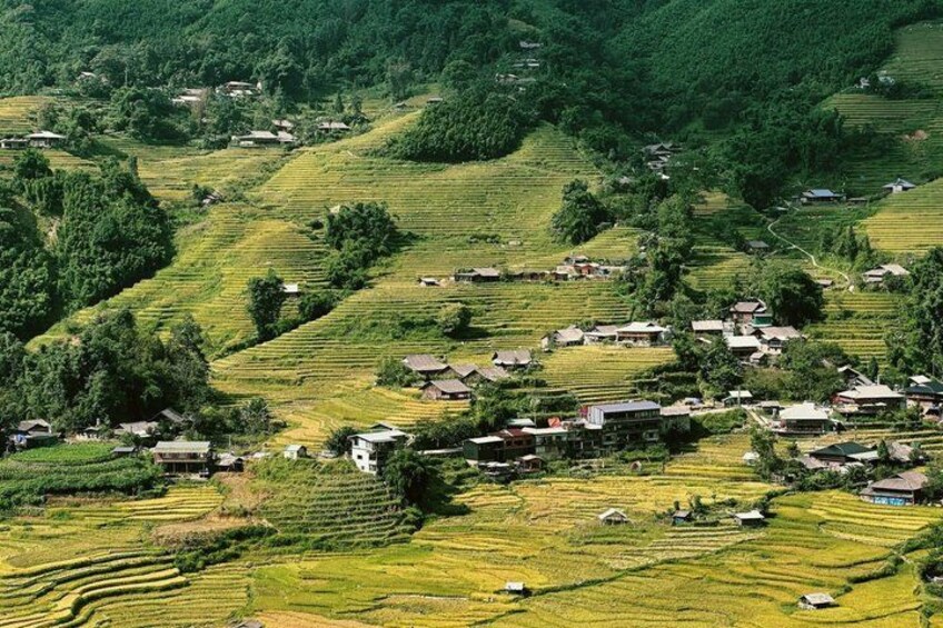 Campos de arroz en terrazas, casas dispersas y densas colinas boscosas. 2