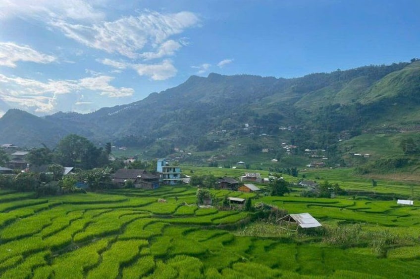 Campos de arroz en terrazas, un pueblo con casas tradicionales y una cadena montañosa al fondo. 3