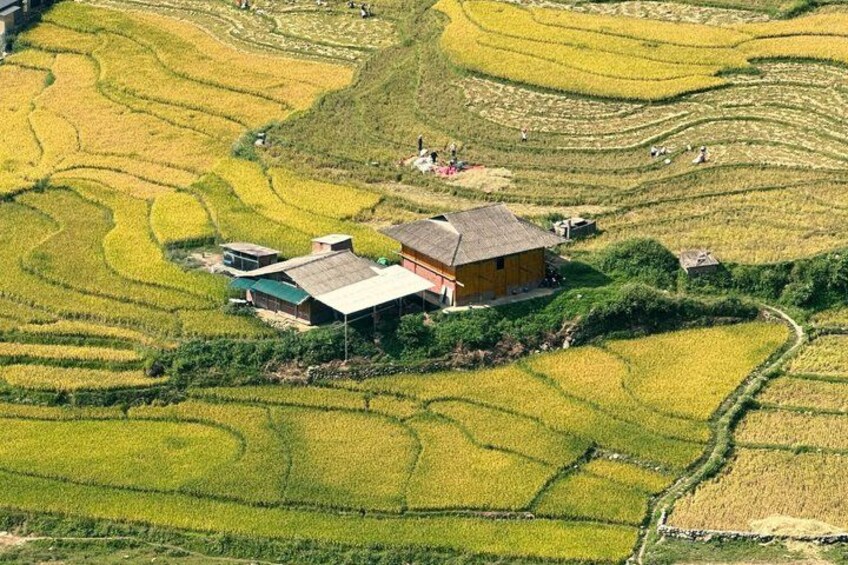Campos de arroz escalonados, una casa y un pequeño edificio. 5