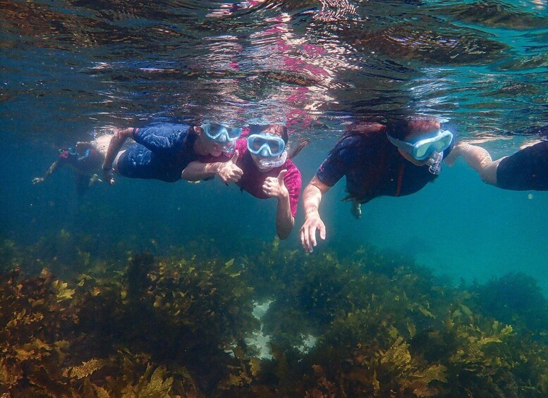 Three people snorkeling underwater. 5