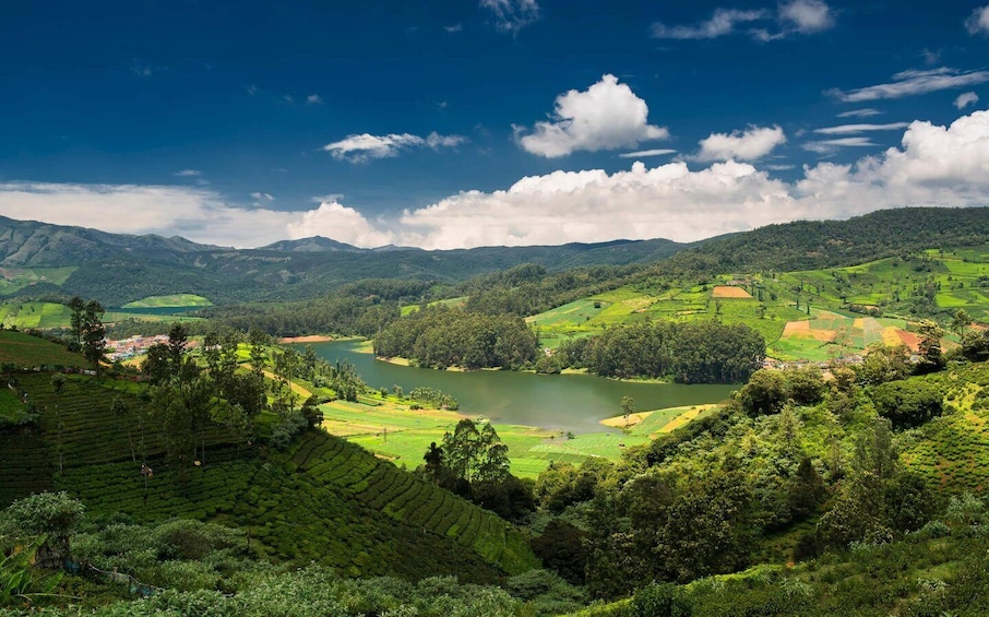 A lush valley with terraced tea plantations, a lake, and rolling hills under a partly cloudy sky. 3