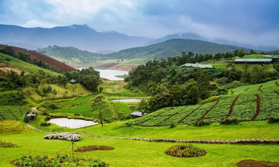 A lush green valley with terraced fields, a small pond, and distant mountains under a cloudy sky. 1