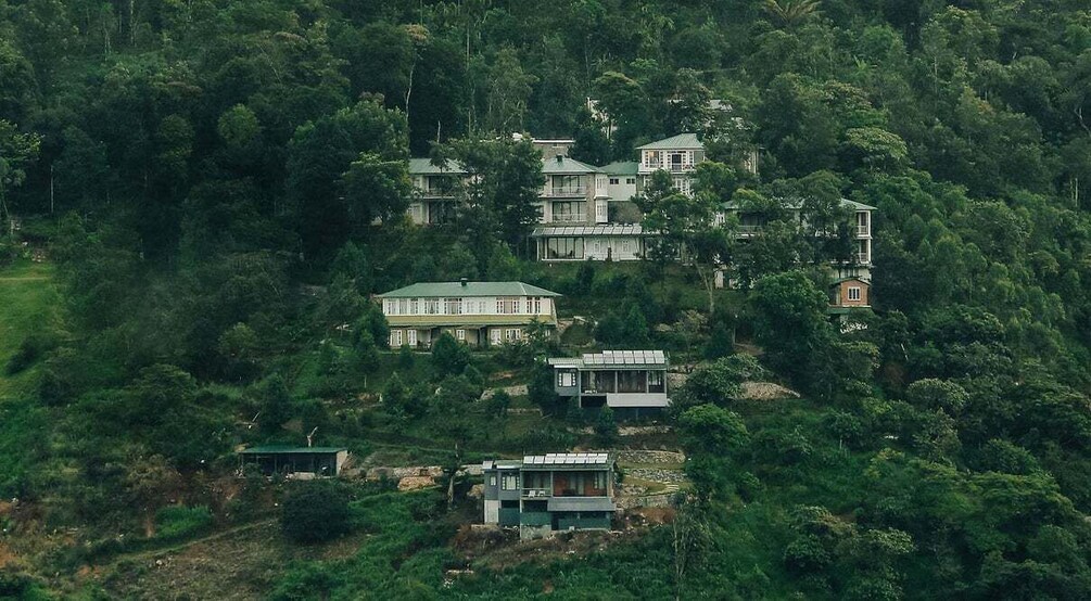 A cluster of houses on a hillside surrounded by dense forest. 3