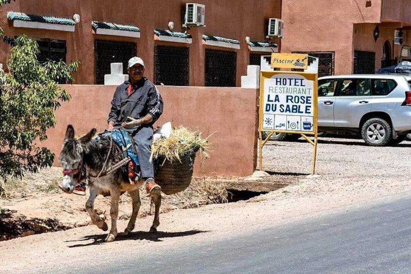 A donkey with a basket, a man riding it, and a sign for 'HOTEL RESTAURANT LA ROSE DU SABLE'. 5