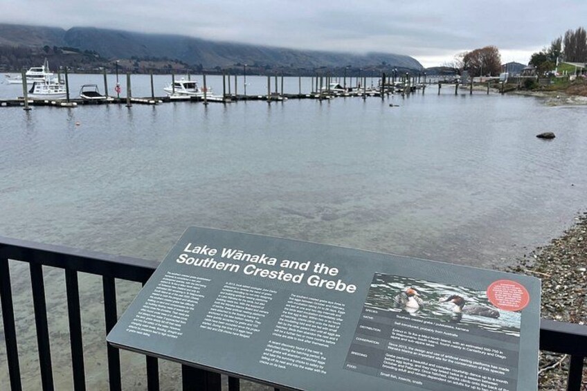 Wanaka: Audio Tour of New Zealand’s Most Scenic Township 1