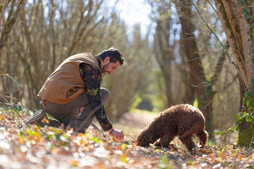 truffle hunting 1