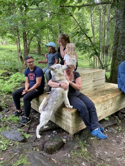 A group of people sitting on a wooden bench in a forested area. 1