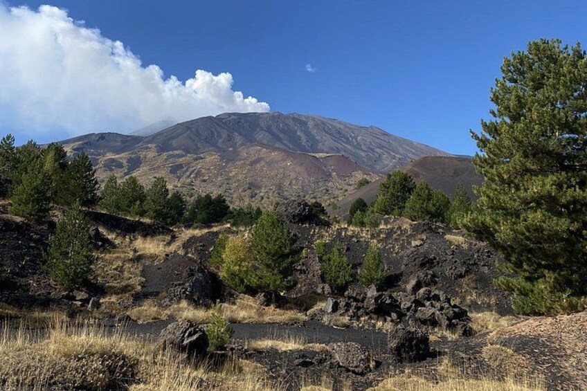 Un paisaje montañoso con vegetación escasa y cielo despejado. 1
