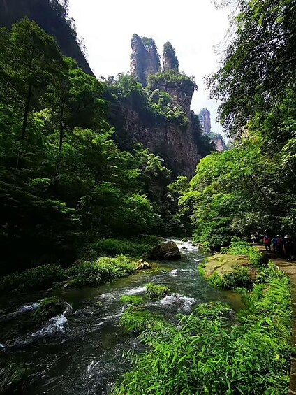 A river flowing through a dense forest with rocky cliffs in the background. 3