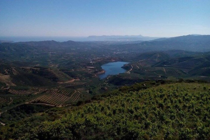 Unchartes Escapes Off-Road Vineyard and Manousakis Winery Tour with Tasting 2