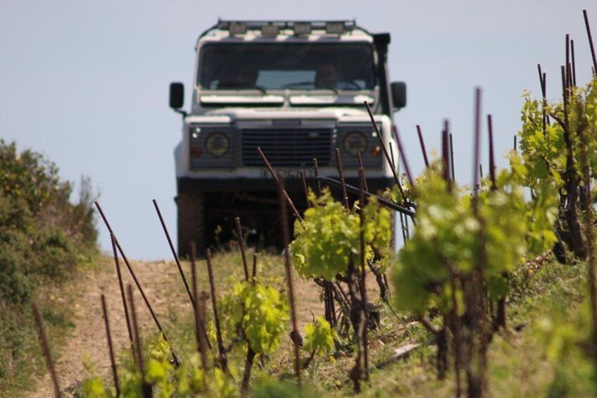 Un véhicule militaire sur un chemin de terre, avec des vignes au premier plan. 2