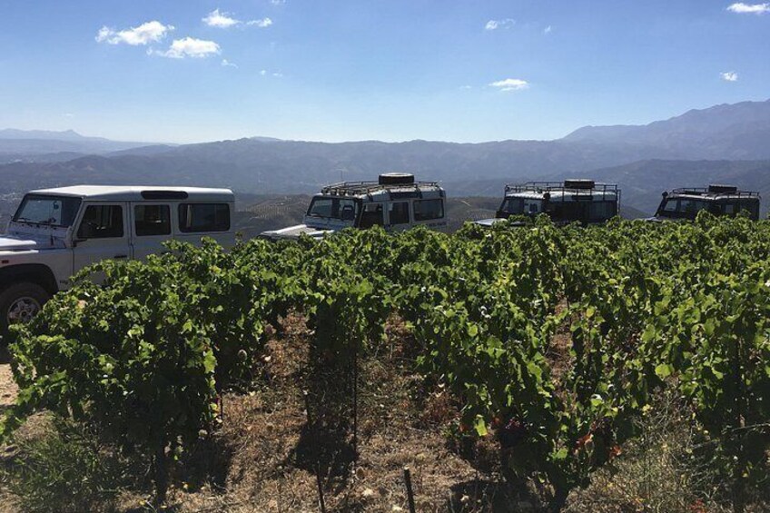 Unchartes Escapes Off-Road Vineyard and Manousakis Winery Tour with Tasting 5