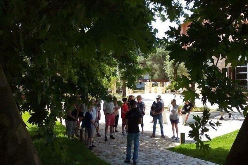 Unchartes Escapes Off-Road Vineyard and Manousakis Winery Tour with Tasting 3