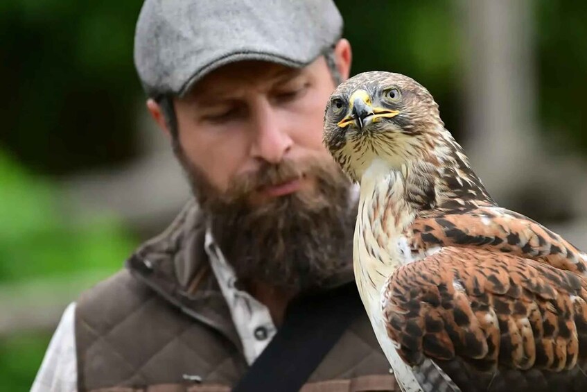 A person holding a bird of prey. 2