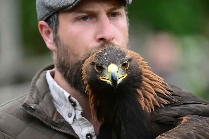A person holding a bird of prey, likely an eagle, with a focused expression. 5
