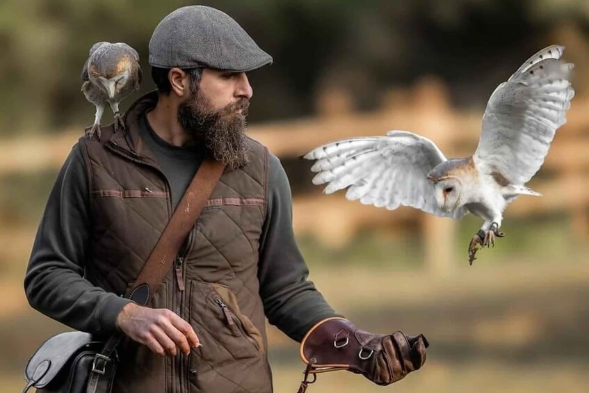 A person with a bird on their shoulder and another bird flying nearby. 1