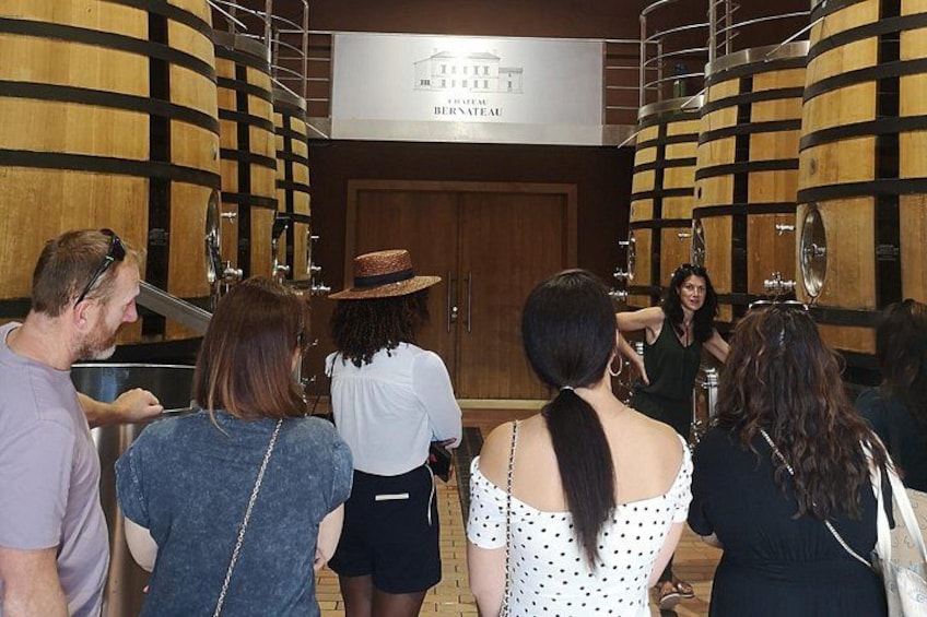Wine tour Saint-Emilion Vert Bordeaux 3