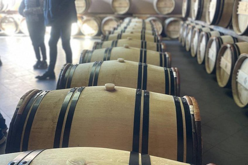 Wine tour Saint-Emilion Vert Bordeaux 2
