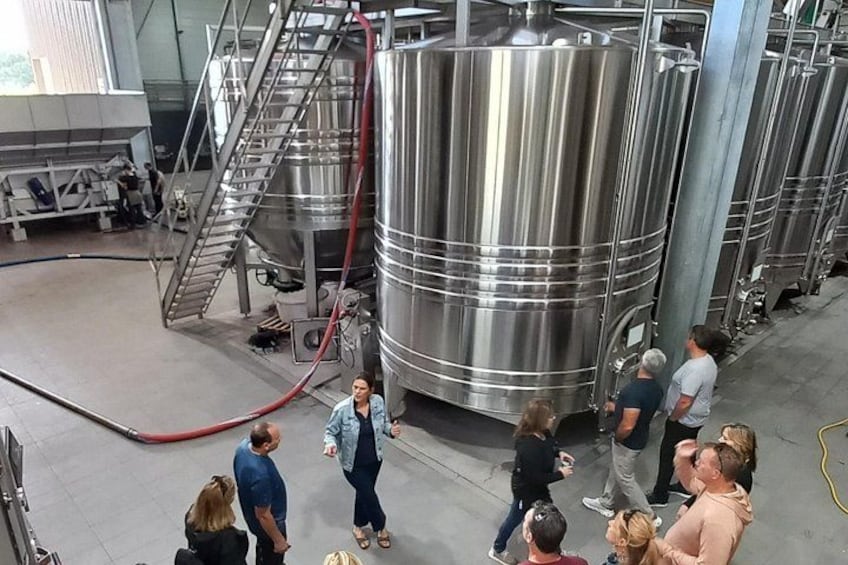 A group of people in a brewery with stainless steel tanks and a ladder leading to the top. 4