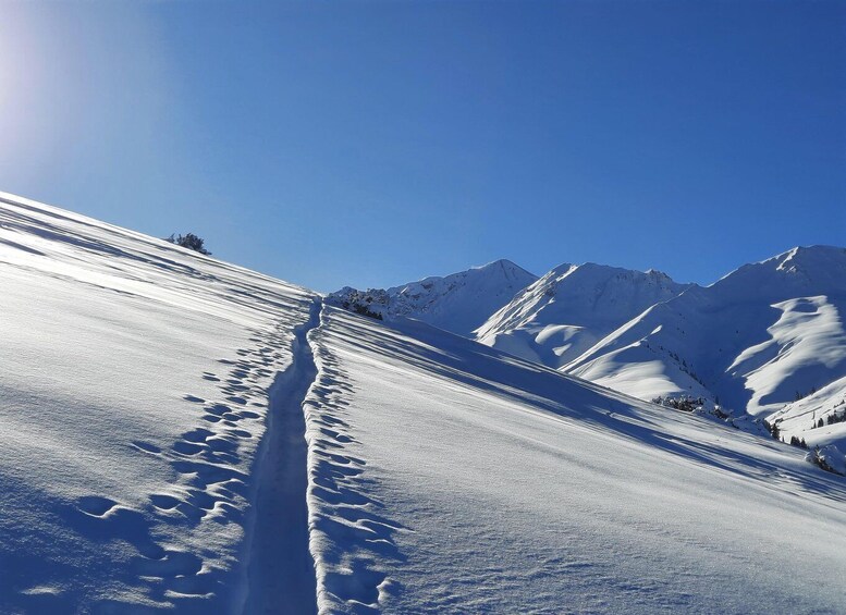 Picture 3 for Activity Ski touring in Kyrgyzstan at Jyrgalan Valley 2