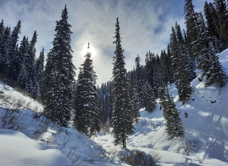Picture 7 for Activity Ski touring in Kyrgyzstan at Jyrgalan Valley 5
