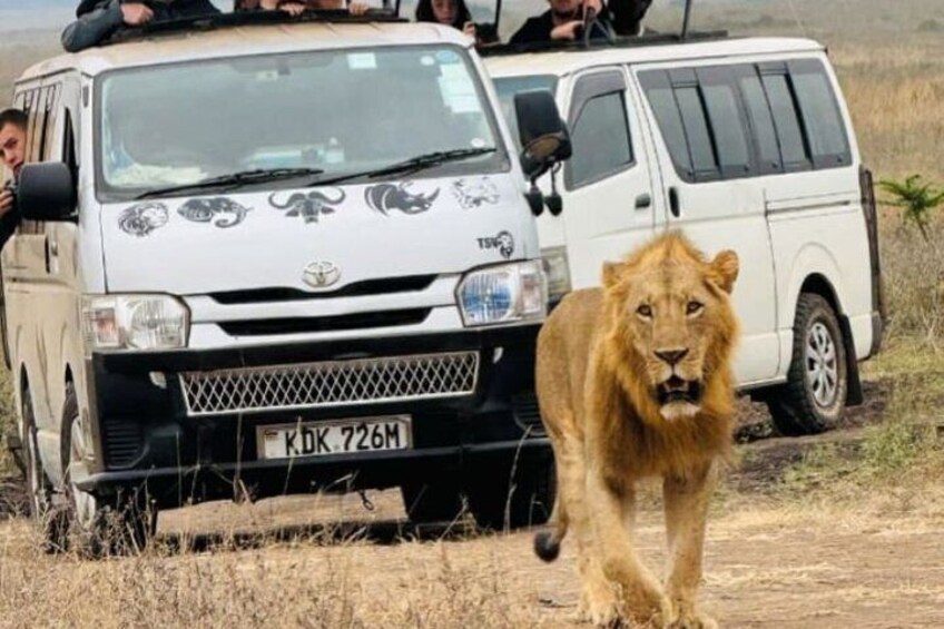A white van with a lion in front, a person taking a photo, and a license plate reading 'KDK 726M'. 2
