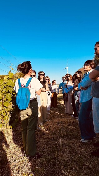 A group of people in a vineyard with a windmill in the background. 2
