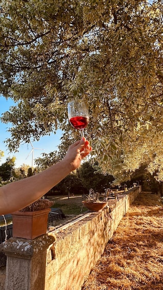 A hand holding a wine glass with red wine, a stone wall, and a tree with green leaves. 3