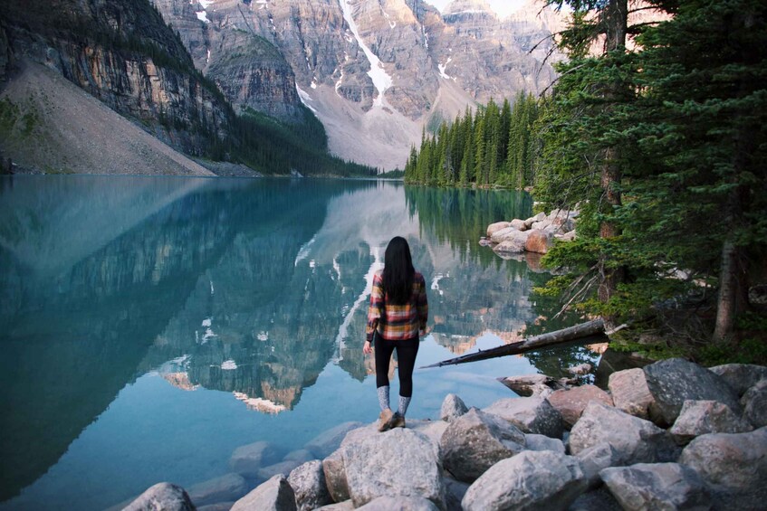 Picture 6 for Activity Banff: Lake Louise, Moraine Lake & Emerald Lake Day Tour 3