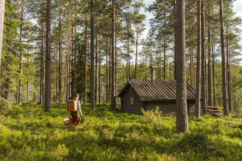 A forest with a cabin and a person carrying a backpack. 2