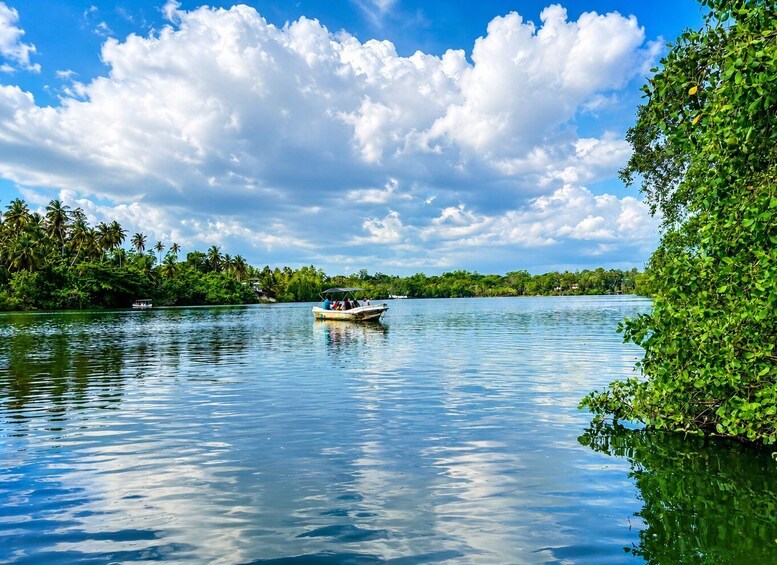 Picture 2 for Activity Koggala Lake Private Boat Safari: Hidden Gems & Wildlife 5
