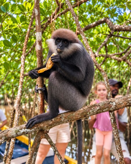 Picture 2 for Activity Koggala Lake: Islands, Wildlife & Local Life Boat Tour 3