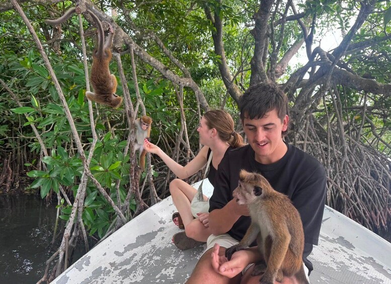 Picture 9 for Activity Koggala Lake Private Boat Tour with Wildlife & Cinnamon 2