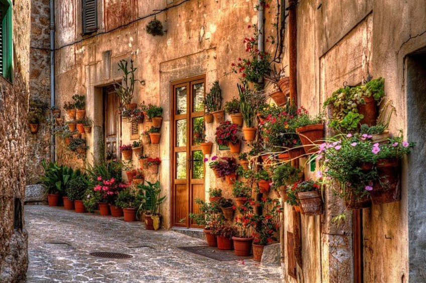 Valldemossa Village and Mountain Views Afternoon Tour 2