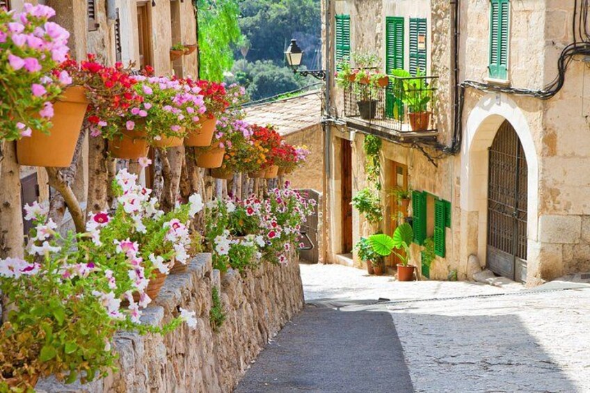 Valldemossa Village and Mountain Views Afternoon Tour 2