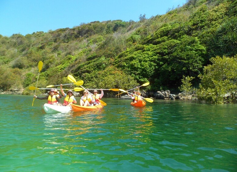 Two kayaks on a calm river surrounded by lush greenery. 3