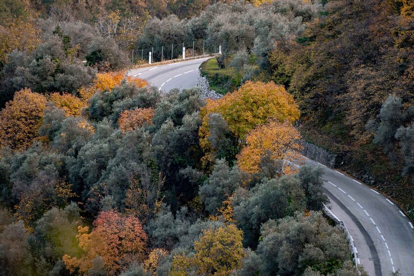 A winding road through a forested area with autumn foliage. 3