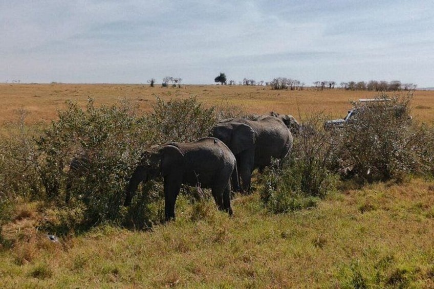 Oldonyo Sabuk Full Day Private Hiking Tour from Nairobi 1