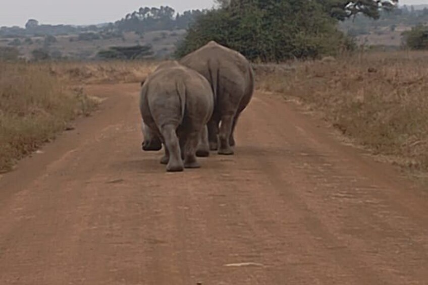 Oldonyo Sabuk Full Day Private Hiking Tour from Nairobi 2