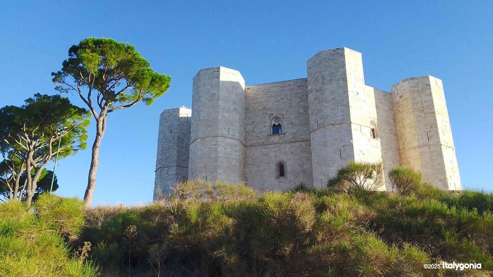 A medieval castle with four towers, surrounded by greenery and a clear sky. 4
