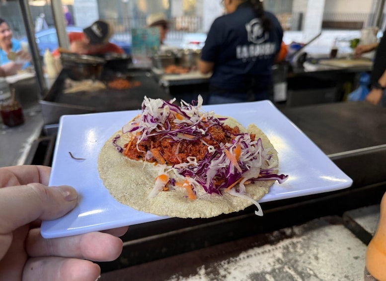 A person holding a plate with a taco topped with red sauce and shredded purple cabbage. 4