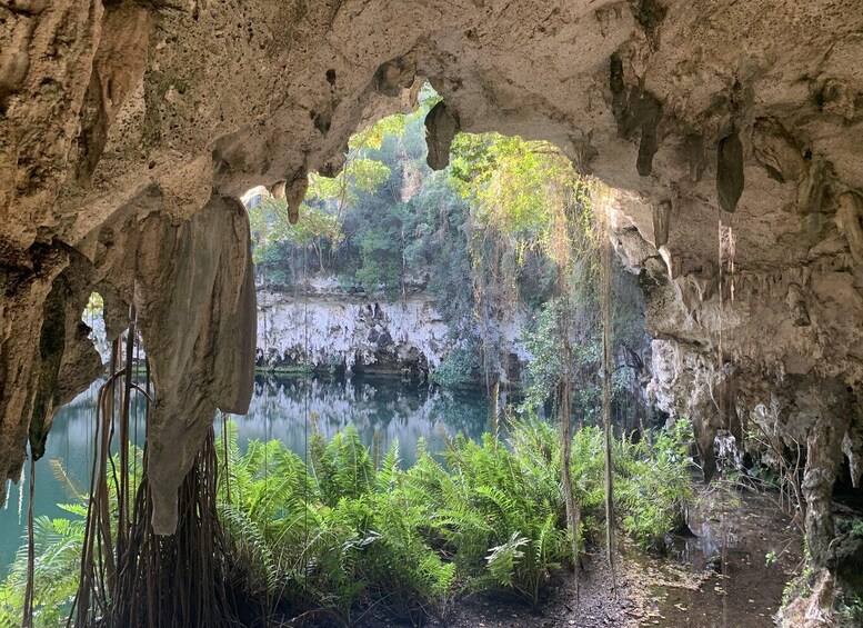 A cave entrance with a view of a forested area and a body of water. 3